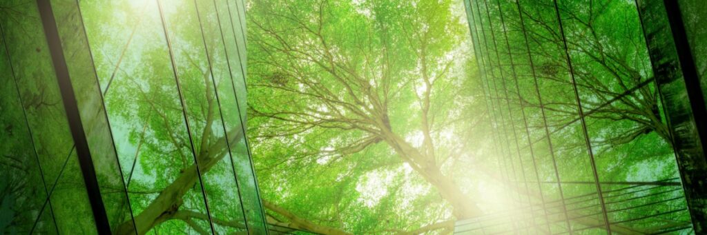 Canada's Eco-Warriors: Leading the Charge for Sustainability