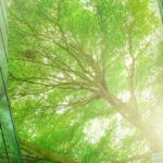 Canada's Eco-Warriors: Leading the Charge for Sustainability