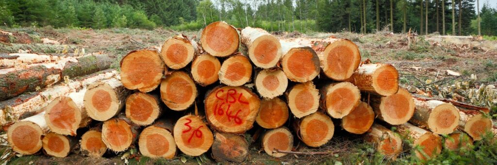 Enhancing Forest Management with Lim Geomatics